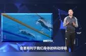福小游，从零开始的自媒体之旅福小游无限充值