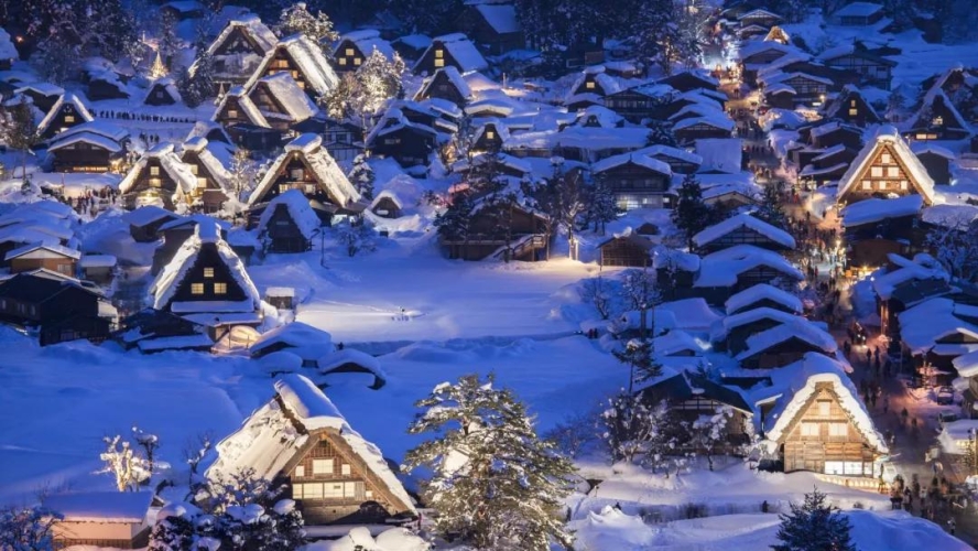 野花日本大全免费观看版动漫，探索自然之美的视觉盛宴花火视频影视大全免费观看