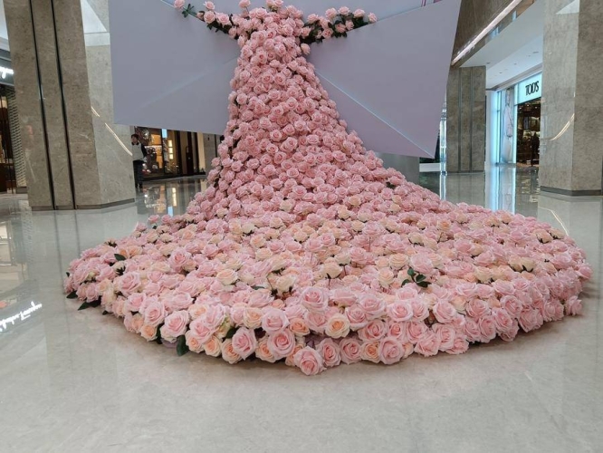 樱花草视频完整版在线观看樱花草现场