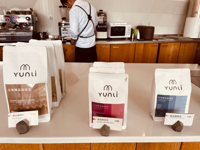 最新精品国产最新精品国产，国货之光的闪耀之路