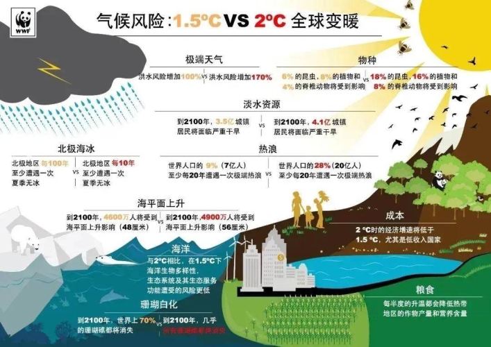 全球热浪席卷，亚洲、国产与欧美的热a文化现象探析