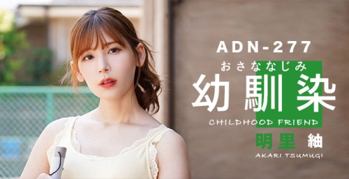 第1636页
