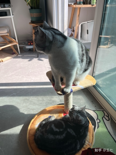第1598页