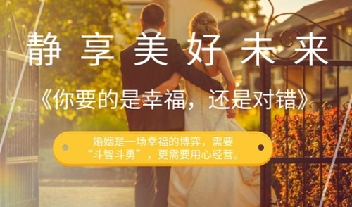 人妻免费福利碰碰碰，探讨现代婚姻中的情感与物质平衡