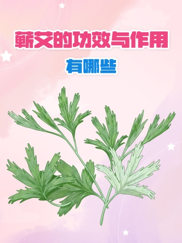 国产精品久久艾草，传统草药的现代价值与应用