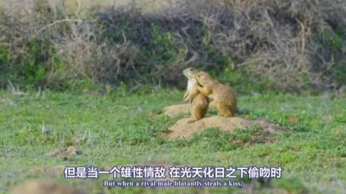 亚洲自偷拍视频中心亚洲偷拍视频中心揭秘，窥探背后的神秘世界