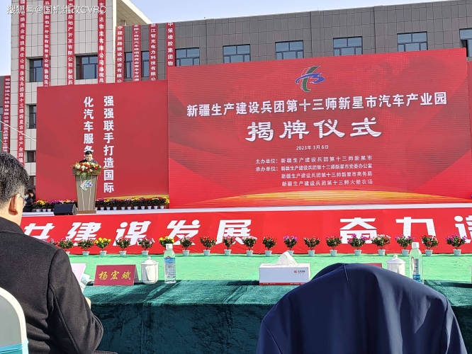 新疆无码在线，数字时代的探索与机遇新疆视频在线播放