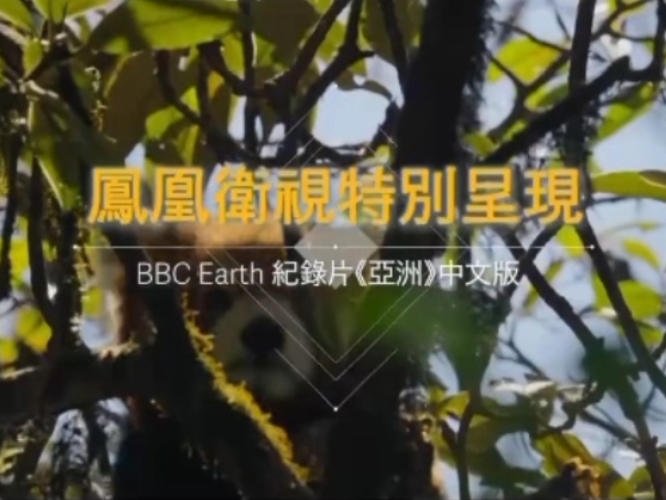 亚洲中文无码成人精品视频亚洲中文无码成人精品视频角色设定与文章内容