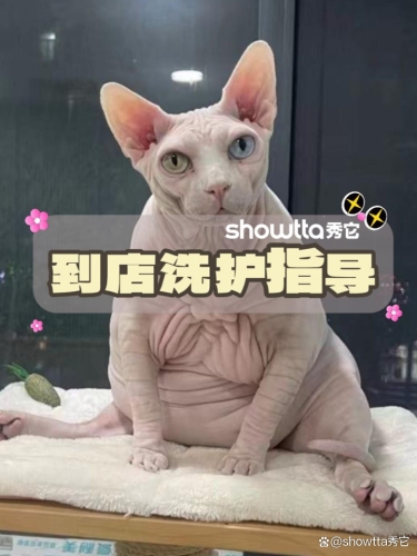 粉嫩无码国产在线观看，探索神秘视频世界
