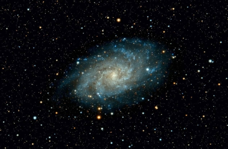 成人影院在线观看，探索数字时代的影视新世界星空视频电影在线视频观看