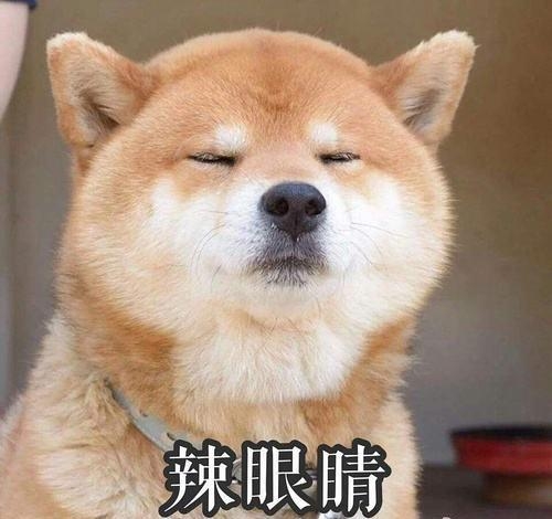 日本免费大黄在线观看日本免费大黄在线观看