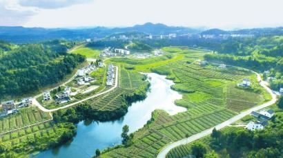 国产白浆视频在线，探索绿色发展新篇章国产白浆视频在线看见了