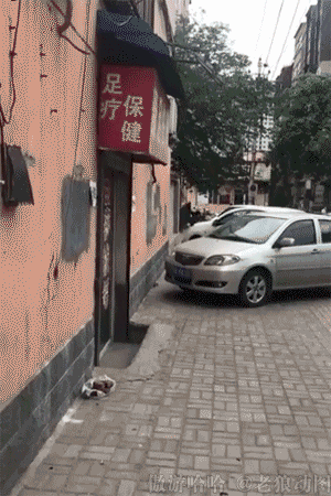 亚洲福利新闻，政策与福利动态亚洲福利网站二区三区