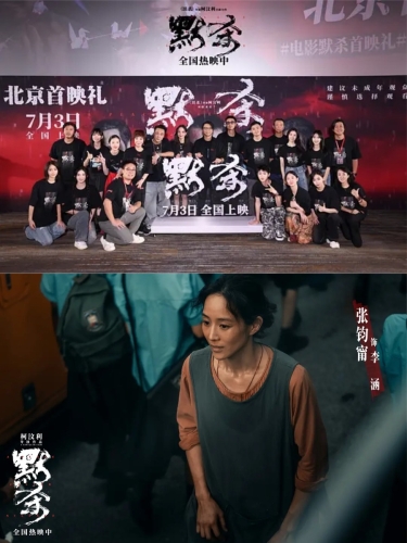 国产高清免费观看平台揭秘，让你尽享精彩内容久久真品视频