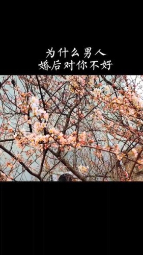 久久依人视频新闻资讯，独家揭秘久久依人视频背后的故事与魅力