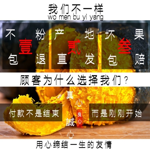国产精品在线播放，三级内容引领潮流