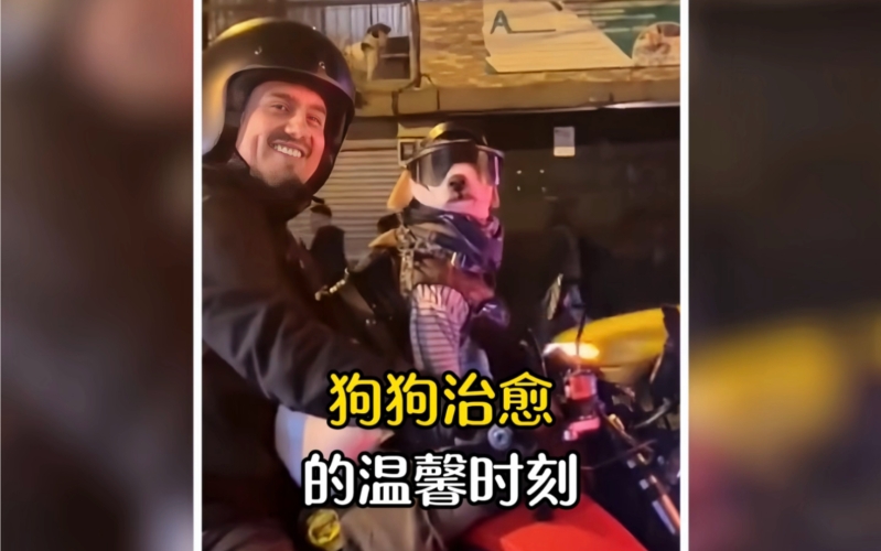 午夜色福利揭秘，网友共享的温馨时刻