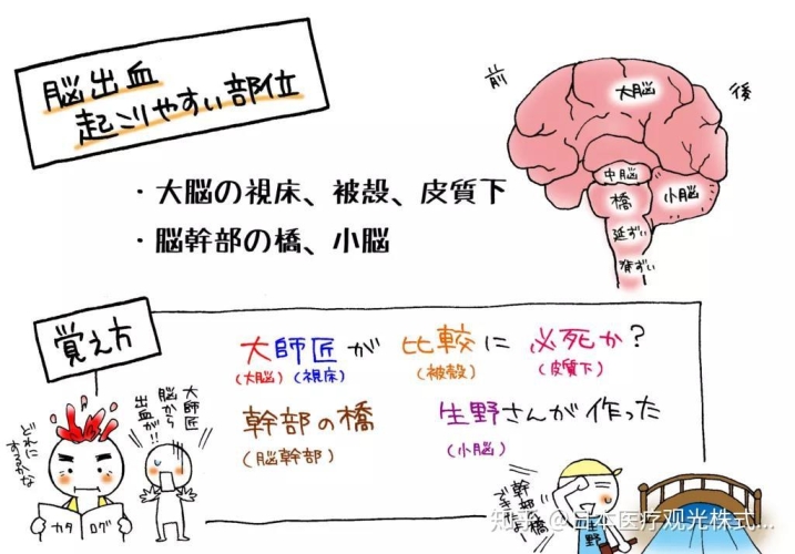 揭秘日本、欧洲与亚洲新闻资讯首页，前沿动态速递