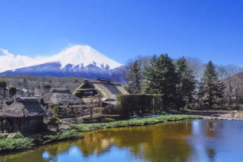 日本无码在线视频，内容丰富，值得关注