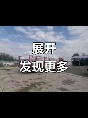 另类在线视频探索未知，另类在线视频的魅力与影响
