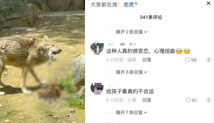 亚洲一级特级一片一片一片亚洲一级特级一片新闻资讯