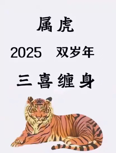亚州四虎精品久久久亚州四虎精品久久久，四虎风采与文化传承