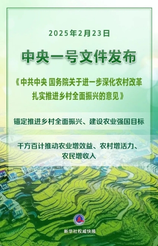 国产自产视频一国产自产视频一，政策扶持与产业发展新篇章