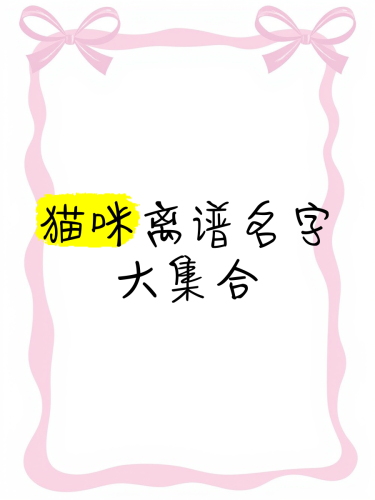 91精品国产乱码在线观看，探索网络文化新风尚成人猫咪最新地域网名是什么啥