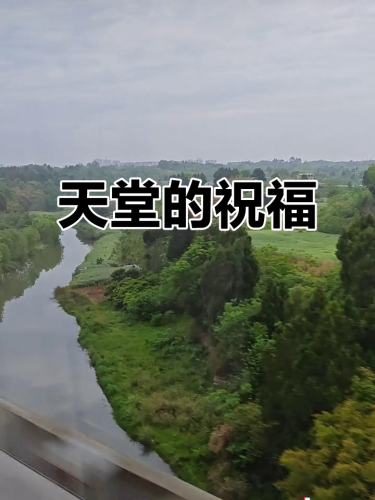 天堂AV无码AV在线毛片，探索网络视频的多元世界