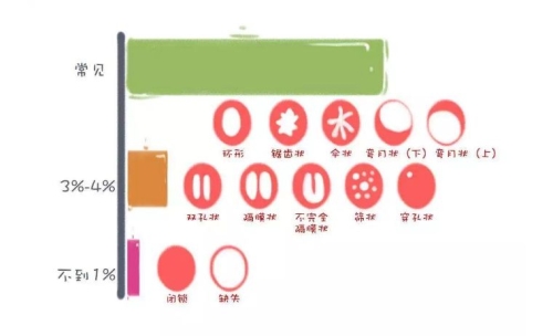 解锁黑人神秘区域，免费体验的全新体验