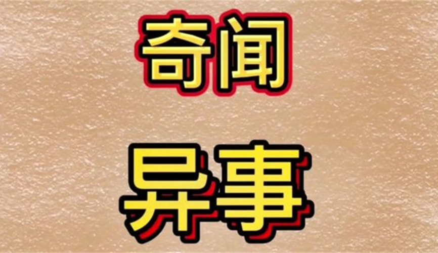 亚亚洲二区三区在线观看，探索神秘视频世界