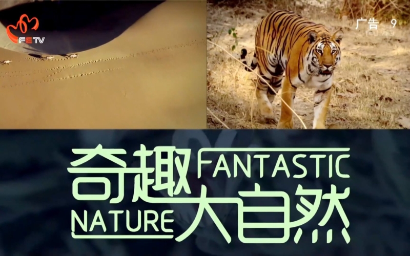 精精国产XXXX视频在线野外探秘精精国产XXXXX视频在线野外，探索大自然的神秘世界