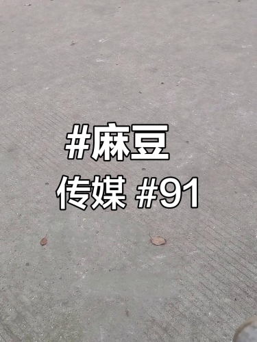 91麻豆精品婷婷久久久精品91麻豆精品，婷婷久久久精品新闻资讯