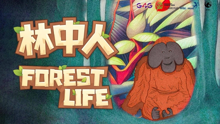 亚洲日韩欧美在线一区，多元文化交汇的新世界亚洲日韩欧美在线一区扩阴器